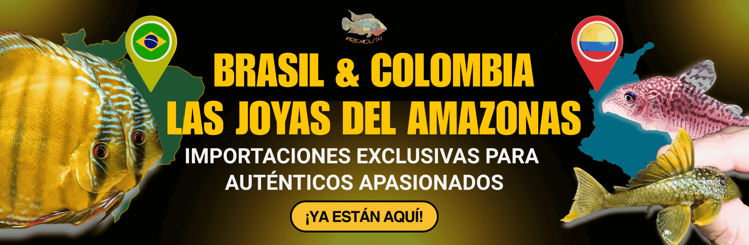 Brasil y Colombia — Las Joyas del Amazonas