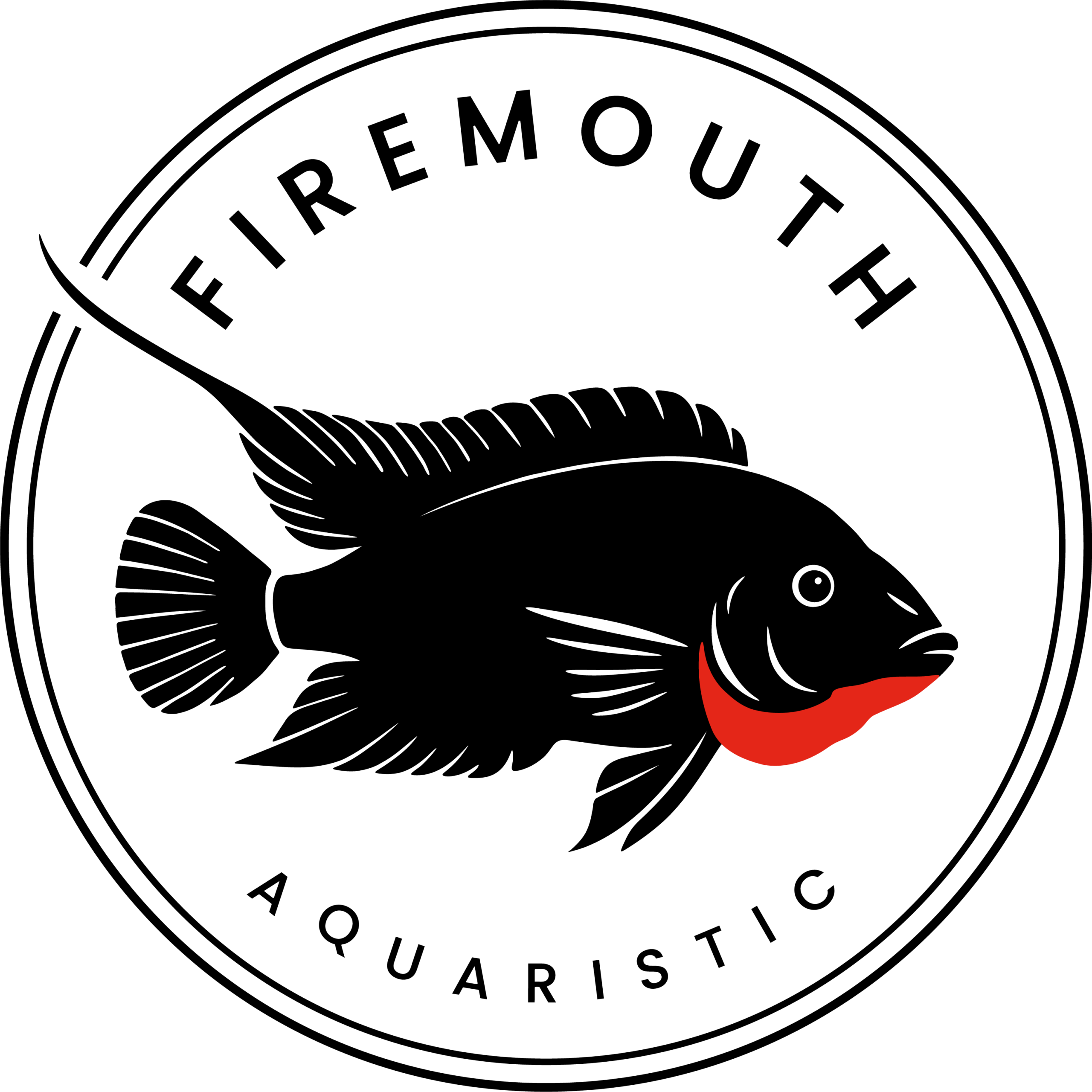 Marcador